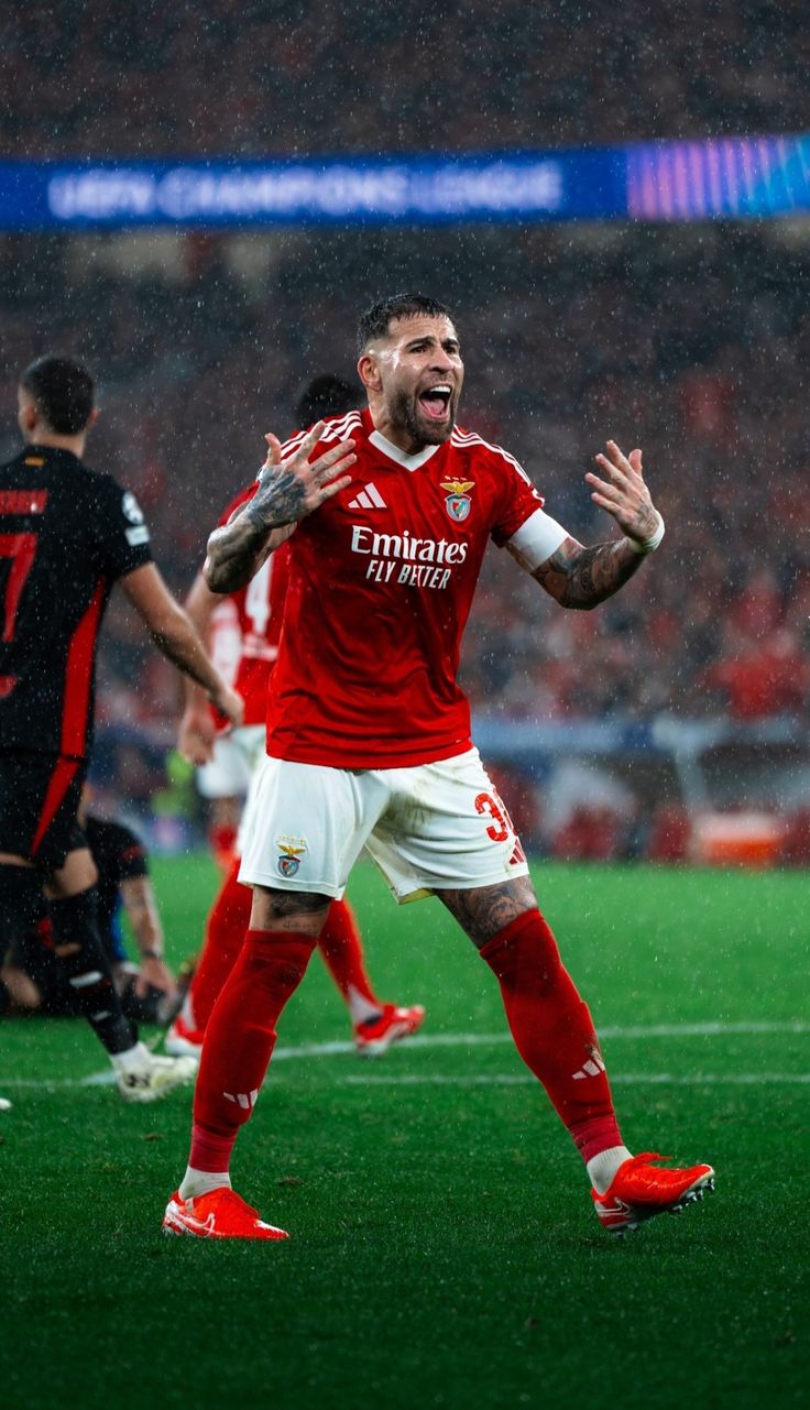 Liga Portugal Collection