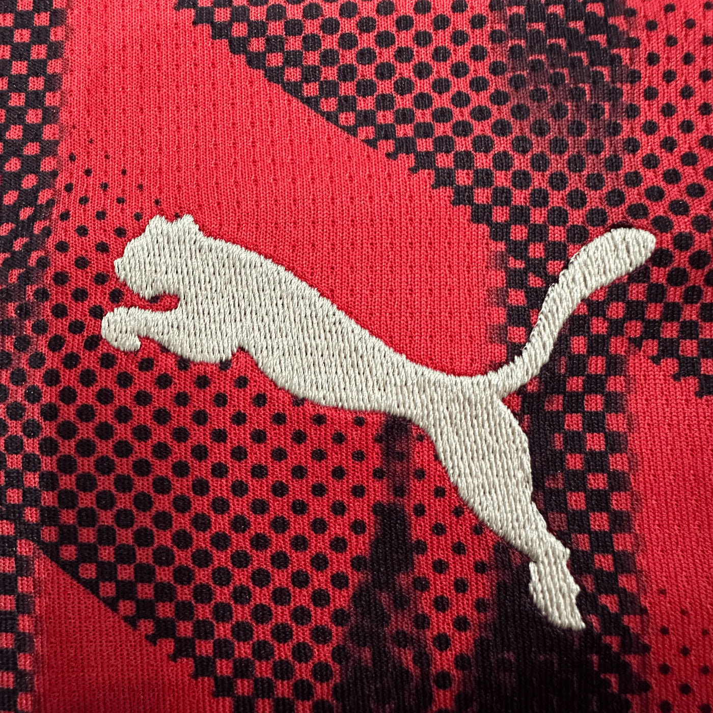 AC Milan "Cathedral"